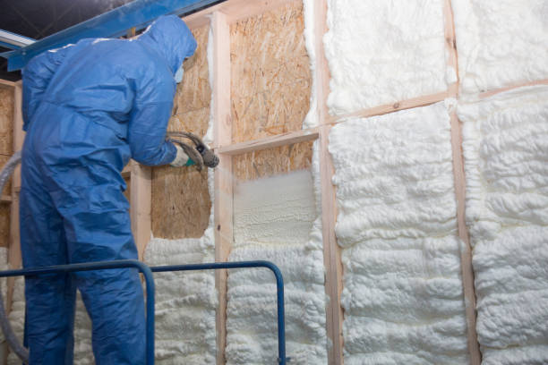 Best Commercial Insulation Services  in Brookshire, TX